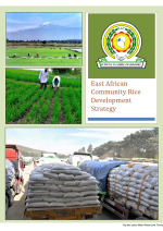 Screenshot 2026-01-28 111944 EAC Rice Development Strategy (ERDS)